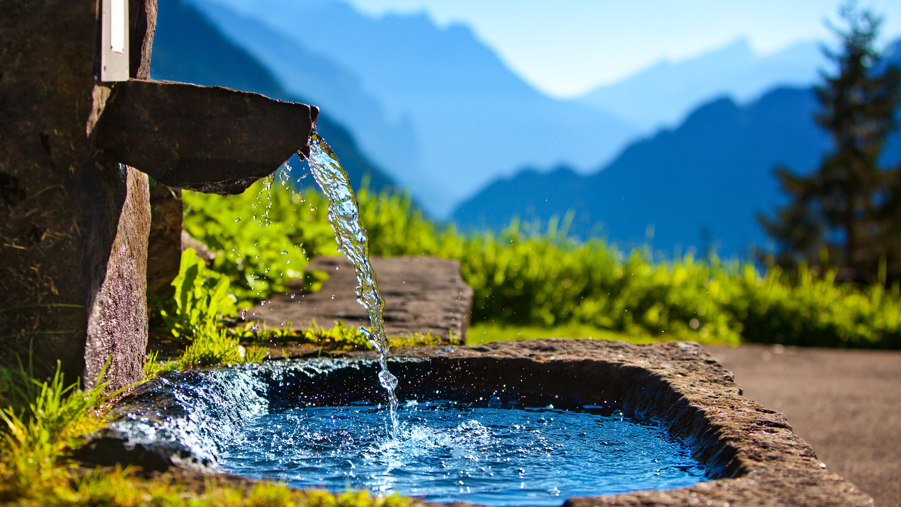 Water Technology 