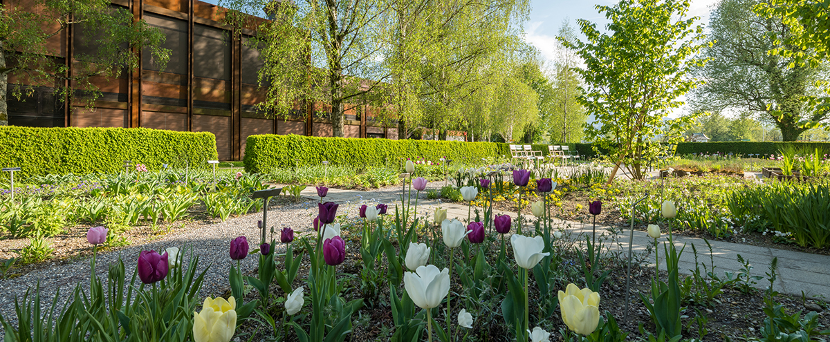 Der Staudengarten auf dem Campus Rapperswil