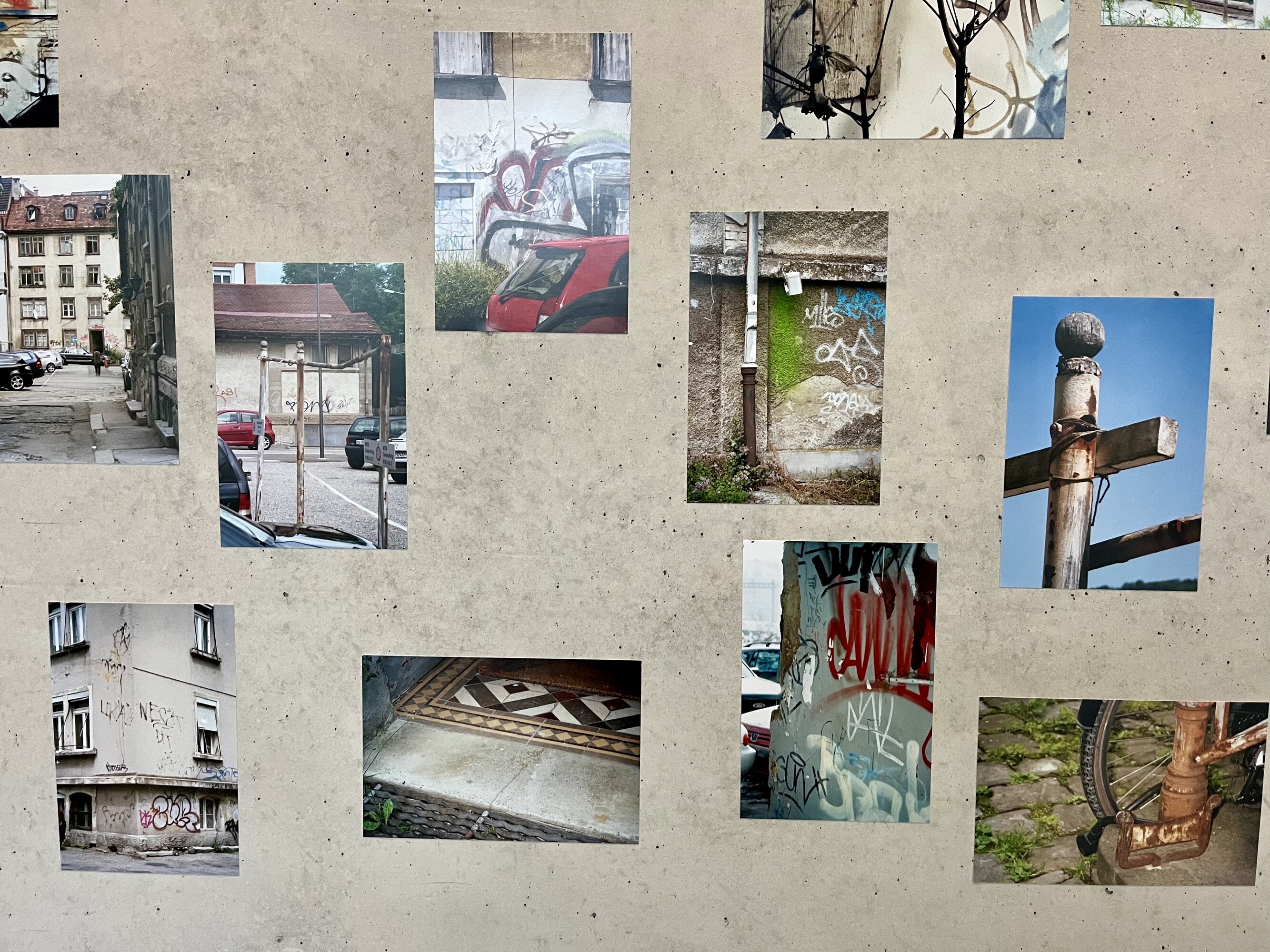 Priska Rita Oeler: NelkenTulpenZimmergartenstrasse