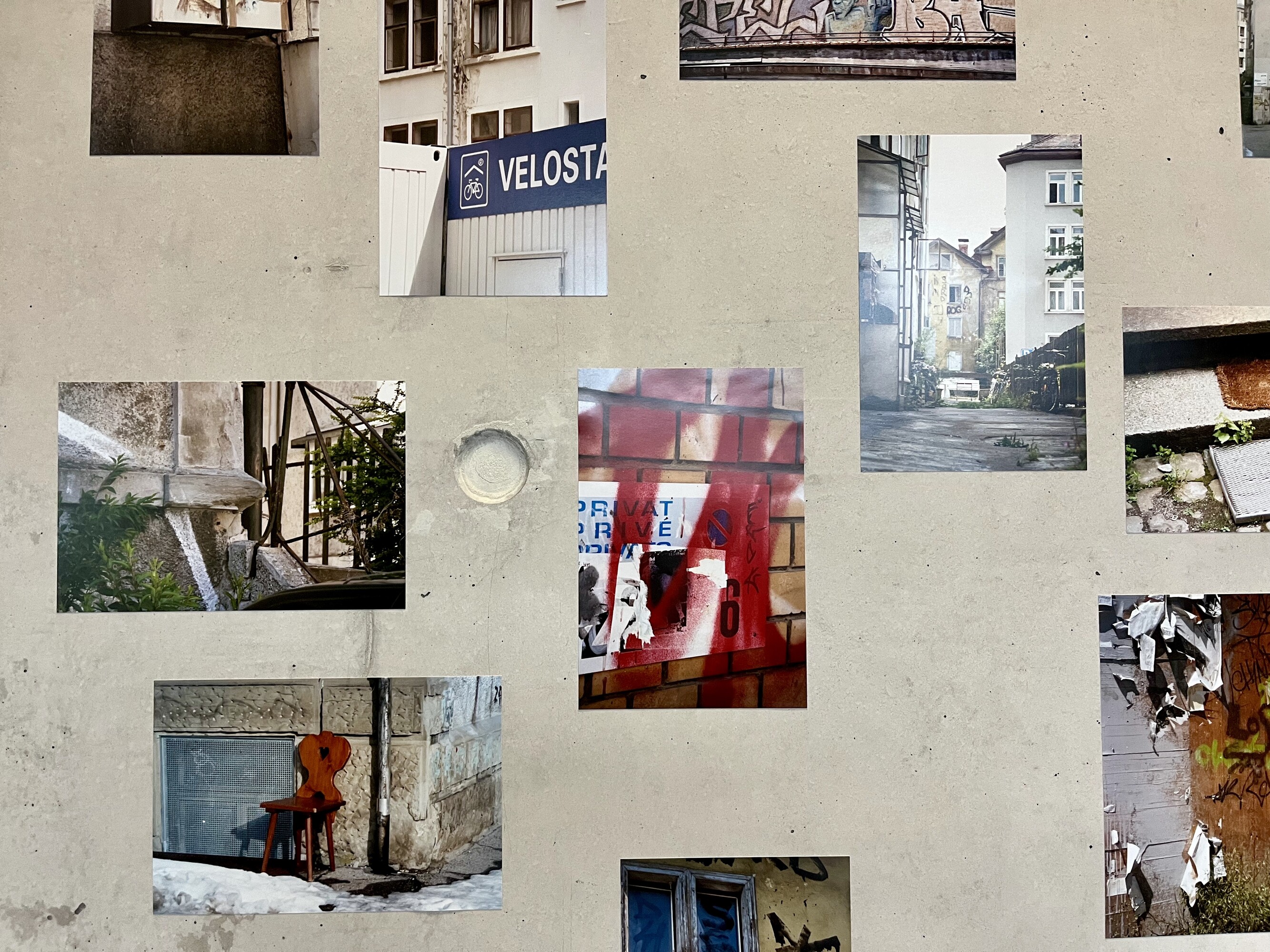 Priska Rita Oeler: NelkenTulpenZimmergartenstrasse