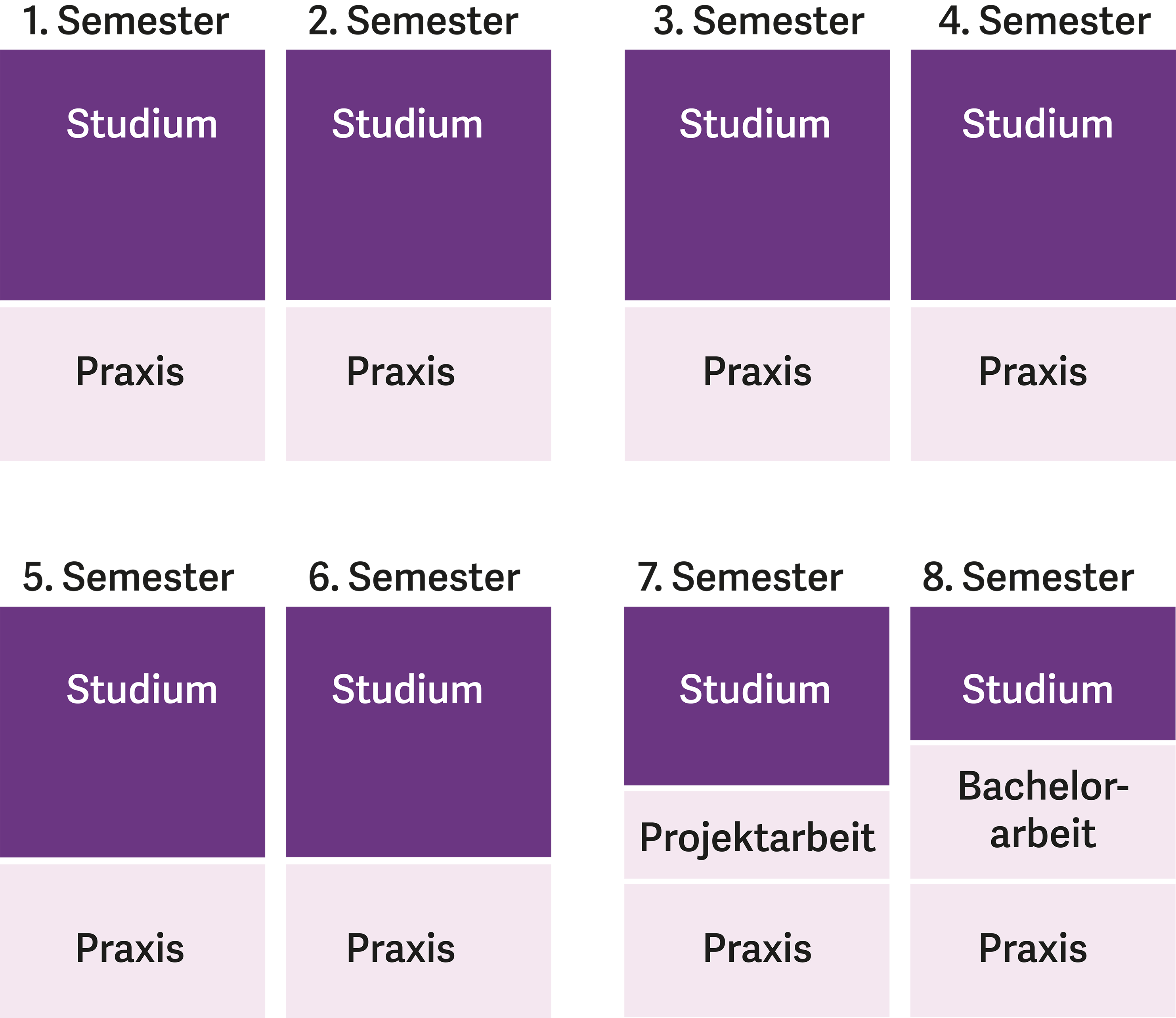 PiBS Modell 1 – Studienbegleitendes Praktikum 