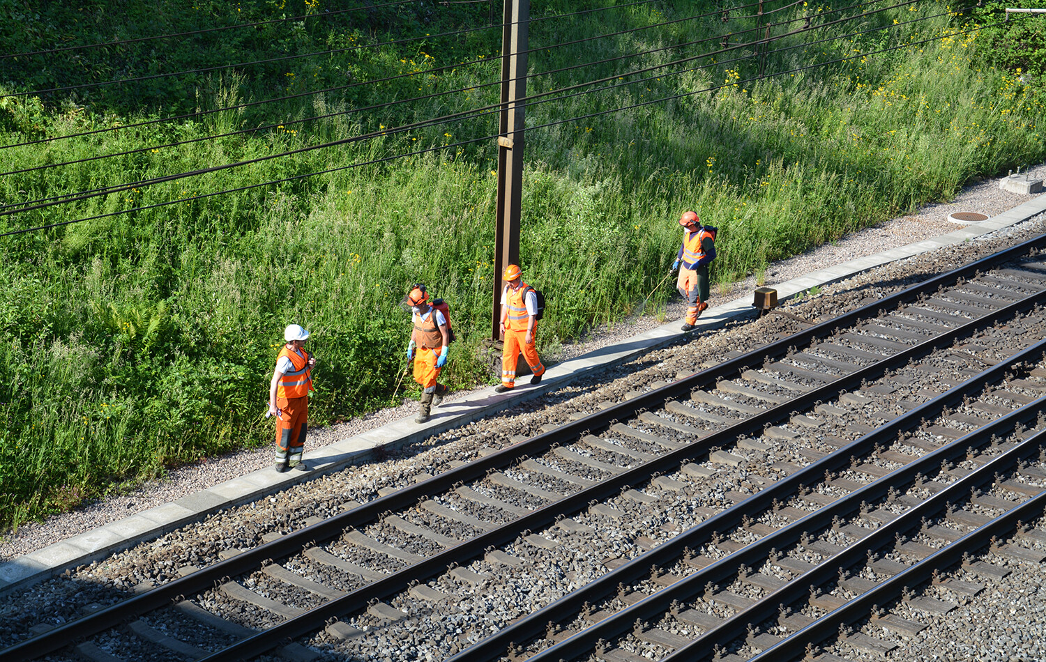 Mitarbeitende der SBB sprühen dort Glyphosat, wo Unkraut einen sicheren Betrieb gefährden könnte.